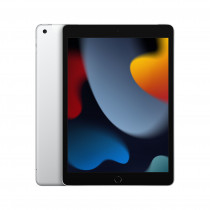 Apple iPad (2021) Wi-Fi + Cellular 256GB - Silver
