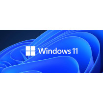Onderhoud (Windows 10 naar Windows 11 upgrade)