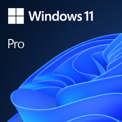 Microsoft Windows 11 64 Bit Pro Français OEM