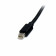 StarTech Mini DisplayPort 1.2 Kabel 2m M/M Zwart